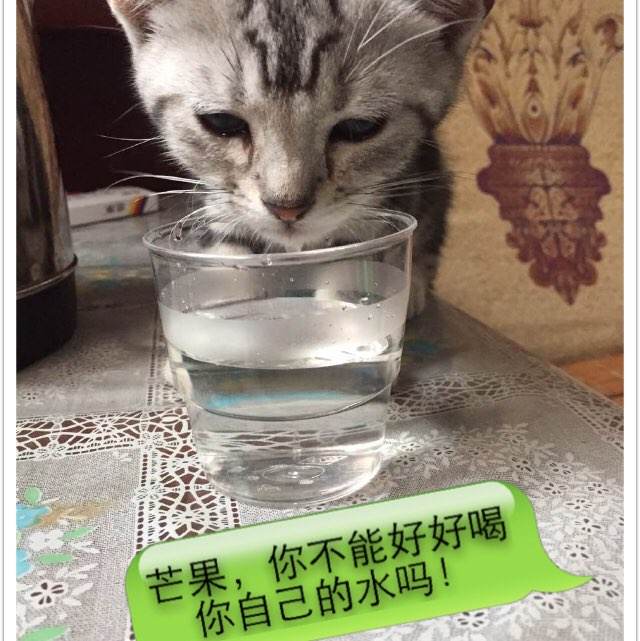 一比一仿中国民生银行流水账单